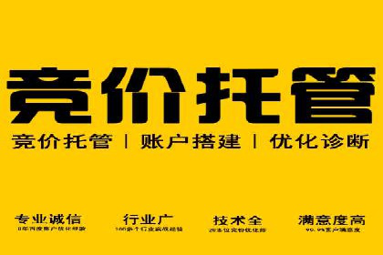 行业领先的SEM优化案例：提升品牌曝光率